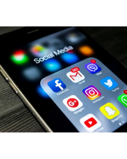 Gestion des réseaux sociaux